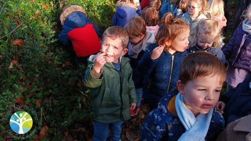 Les élèves de petite section à la recherche de l'automne
